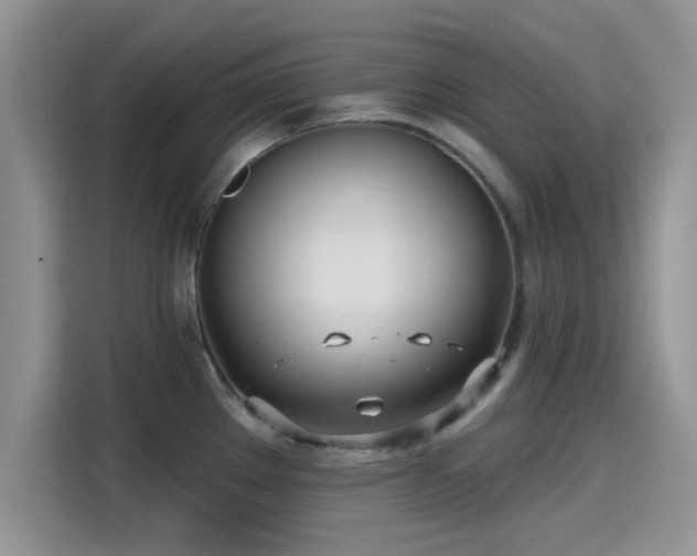 X0000115431289200911121056