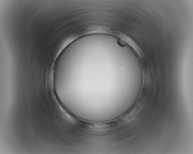 X0000115431290200911121056