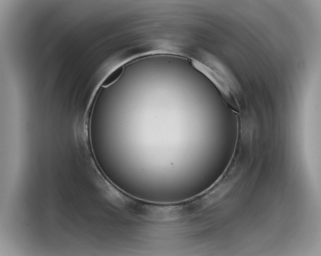 X0000115431292200911121056