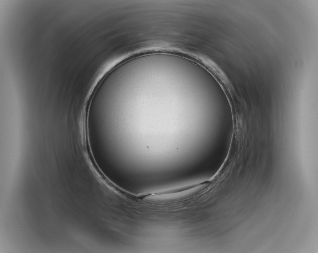 X0000115431295200911121055