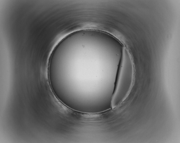 X0000115431296200911121055