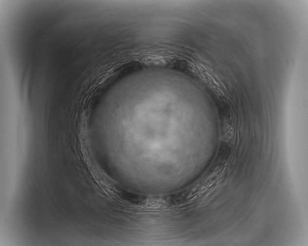 X0000115431297200911121055