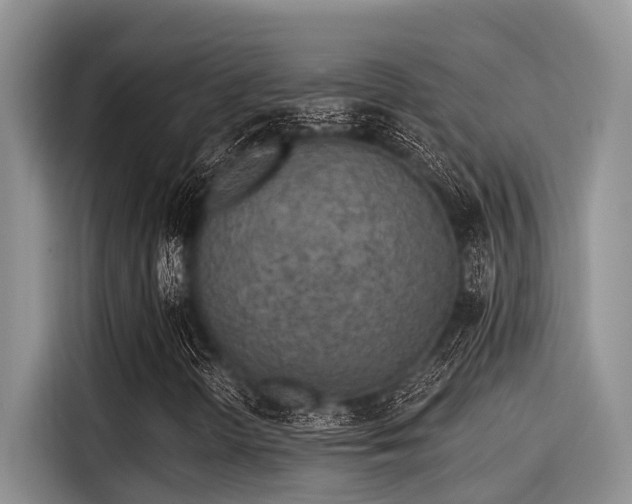 X0000115431298200911121055