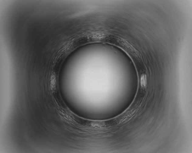 X0000115431299200911121055
