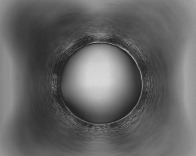 X0000115431301200911121055