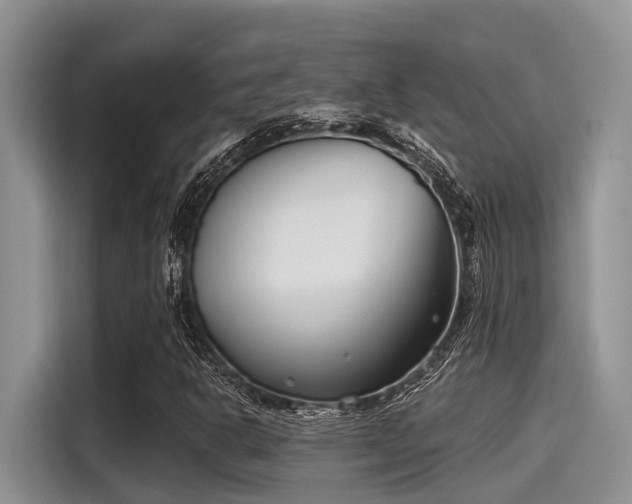 X0000115431302200911121055