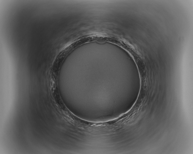 X0000115431303200911121055
