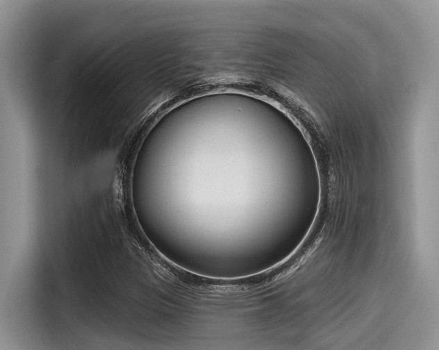 X0000115431305200911121055