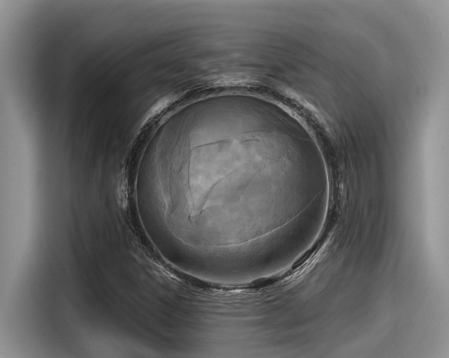 X0000115431306200911121055
