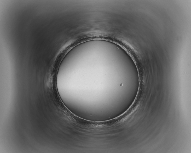 X0000115431309200911121055
