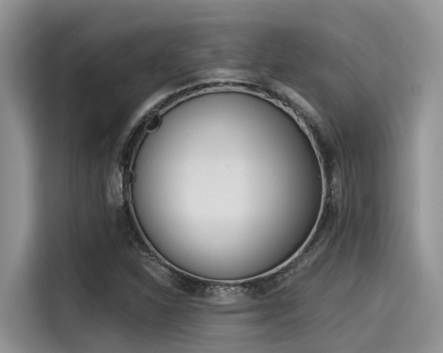 X0000115431310200911121055
