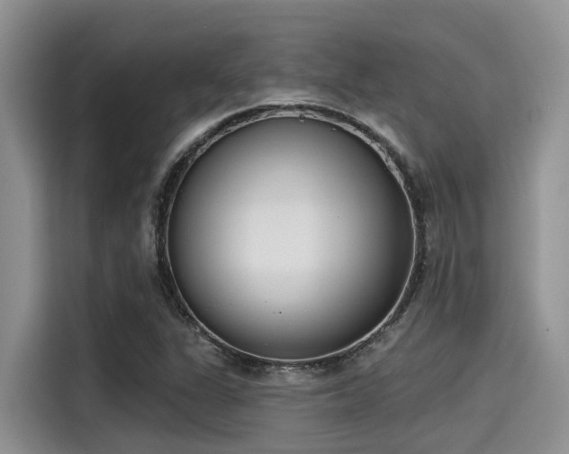 X0000115431311200911121055