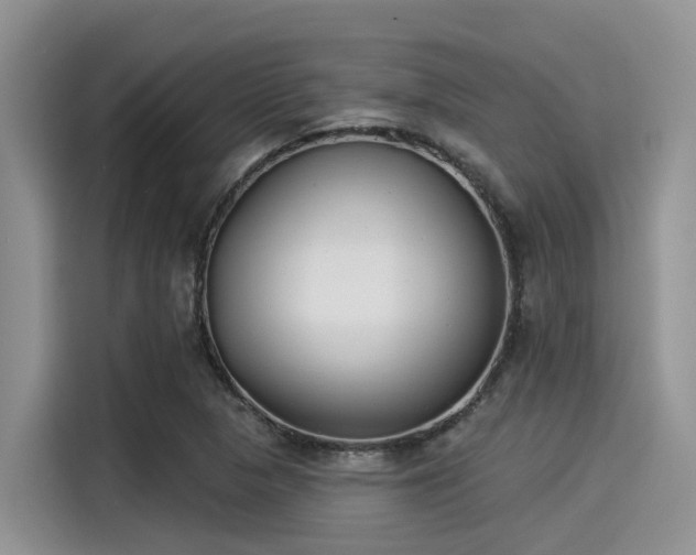 X0000115431313200911121055