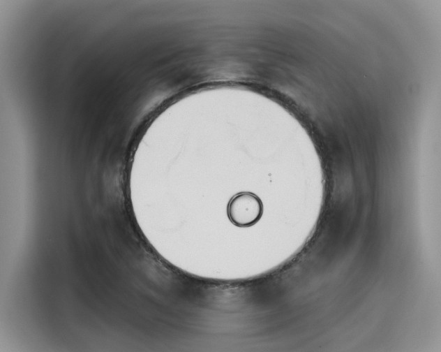 X0000115431314200911121055