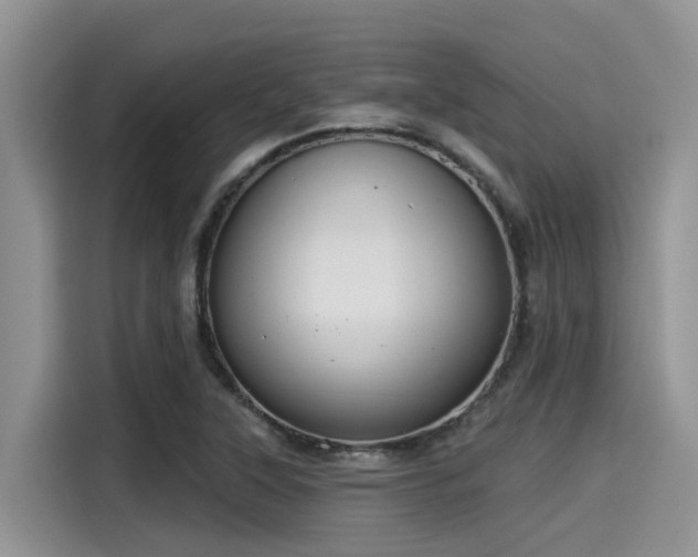 X0000115431315200911121055