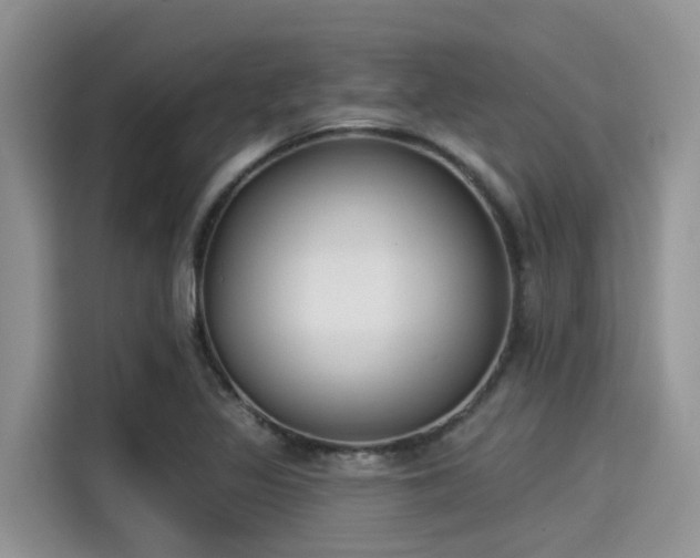 X0000115431317200911121055