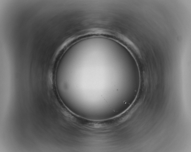 X0000115431318200911121055