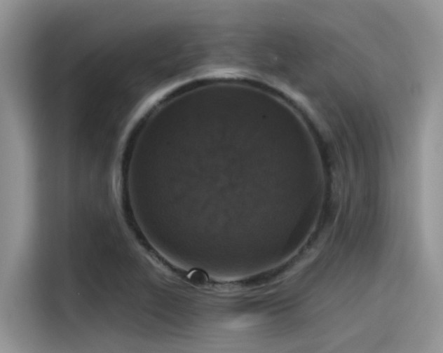 X0000115431319200911121055