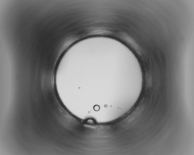 X0000115431322200911121055