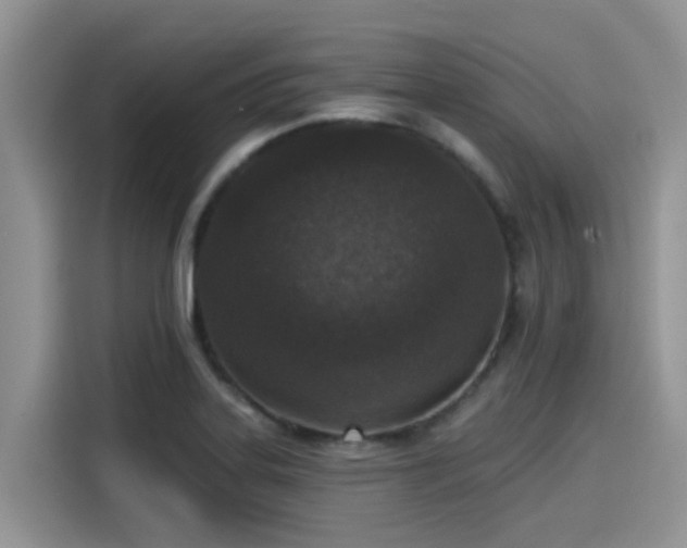 X0000115431323200911121055