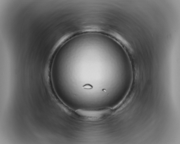 X0000115431325200911121055