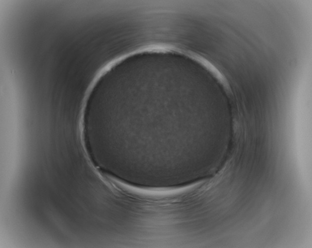 X0000115431327200911121055