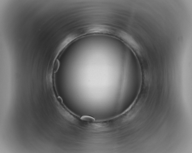 X0000115431330200911121055