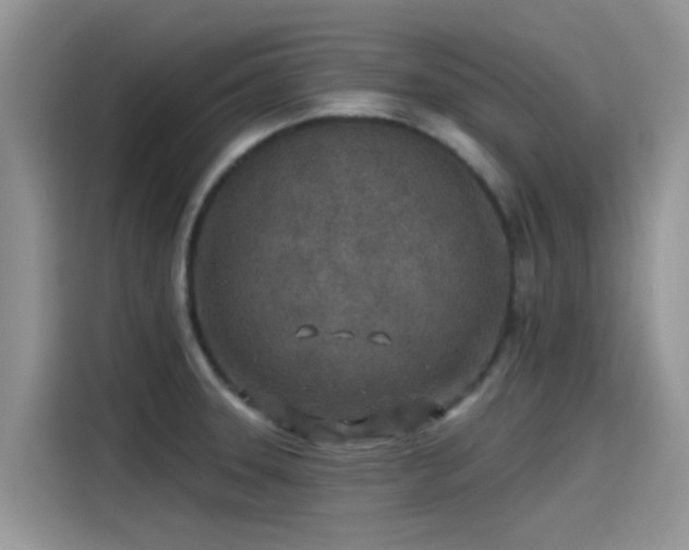 X0000115431331200911121055