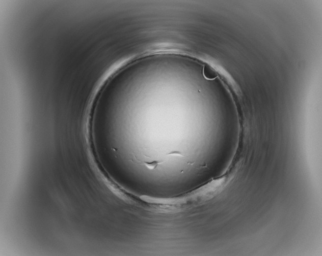 X0000115431333200911121055