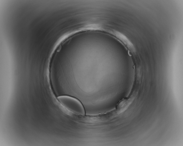 X0000115431334200911121055