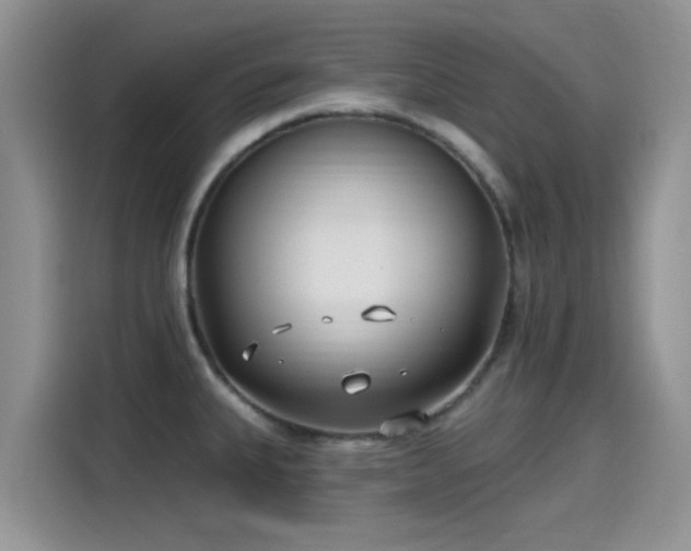 X0000115431335200911121055