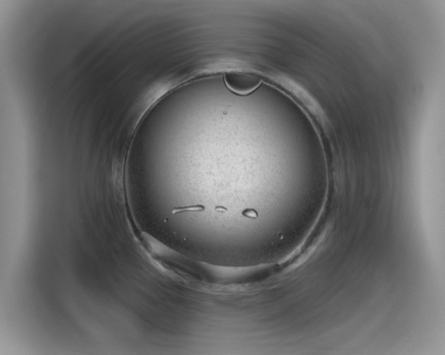 X0000115431337200911121055