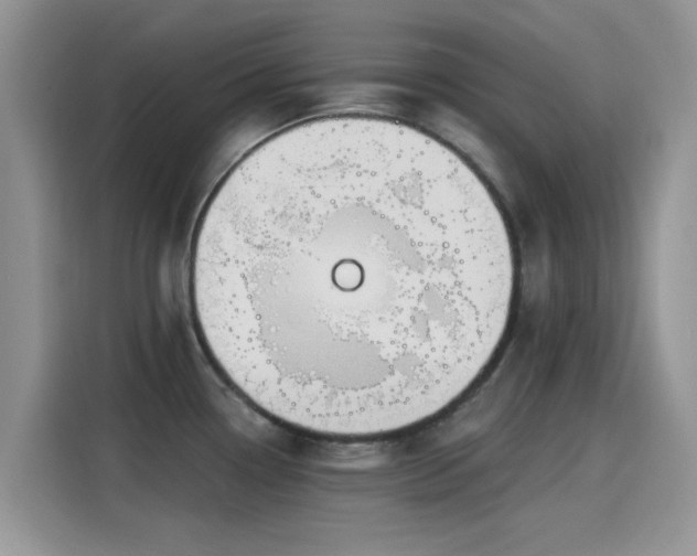 X0000115431338200911121055
