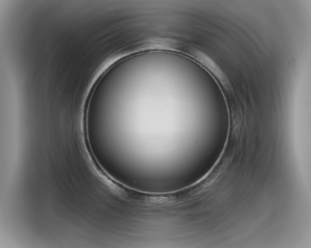 X0000115431339200911121055