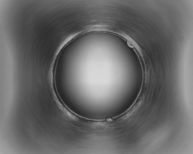 X0000115431341200911121055