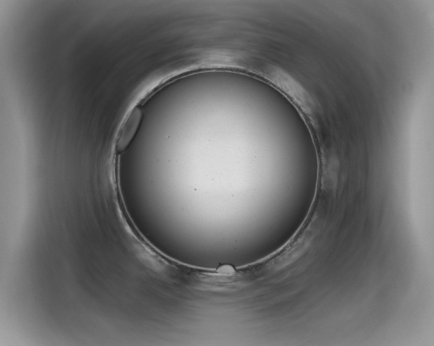 X0000115431342200911121055