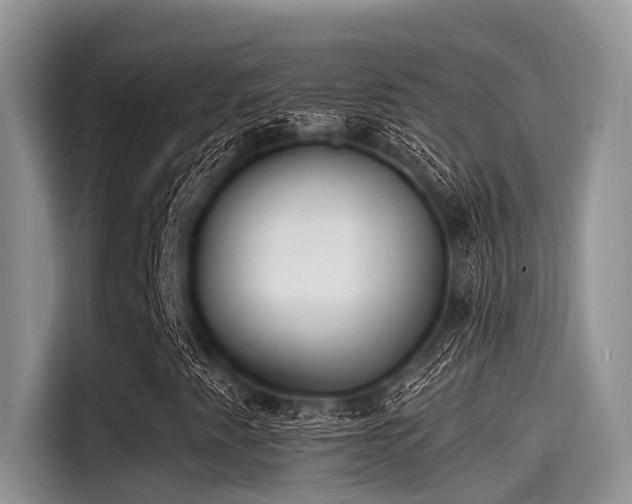 X0000115431345200911121055