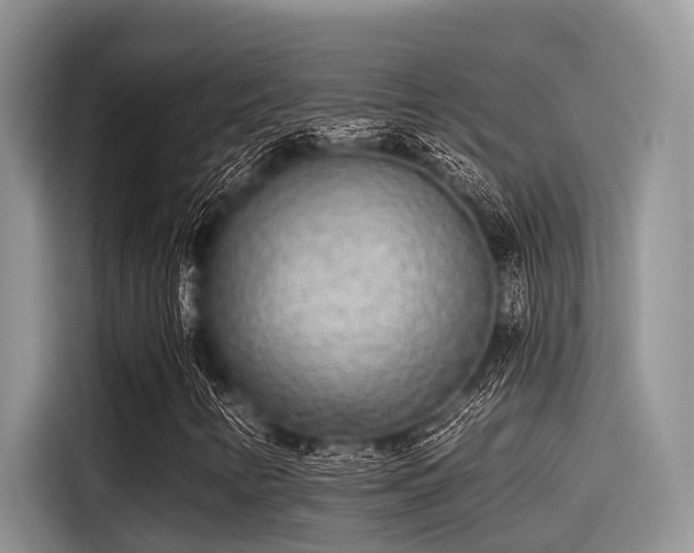 X0000115431346200911121055