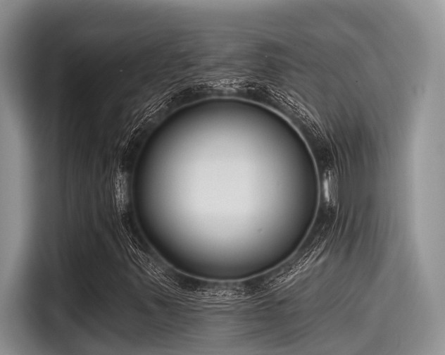 X0000115431347200911121055