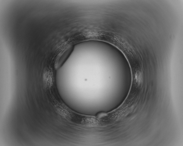 X0000115431348200911121055