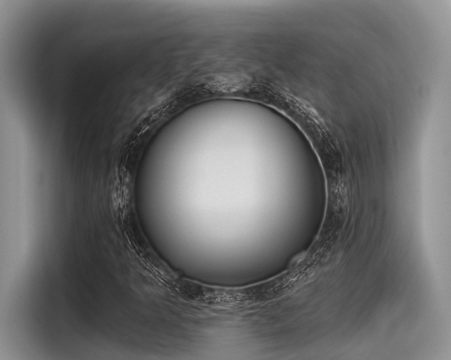 X0000115431349200911121055