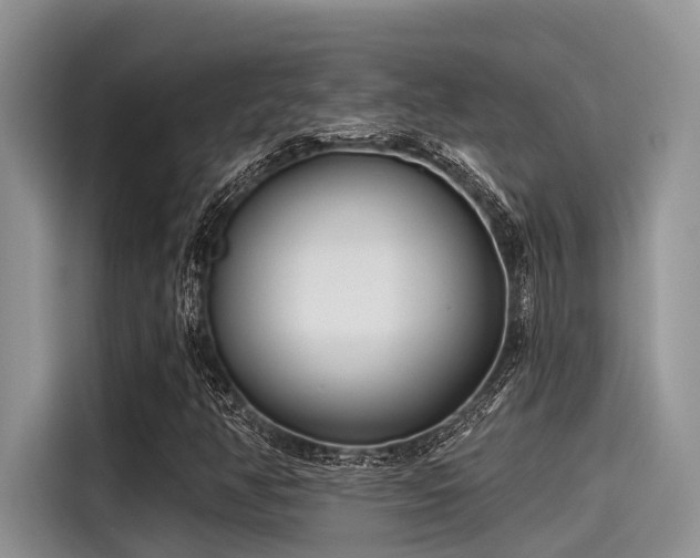 X0000115431350200911121055