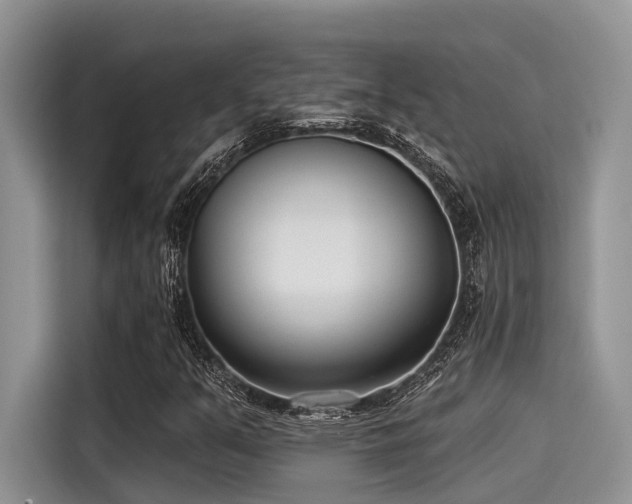 X0000115431351200911121055