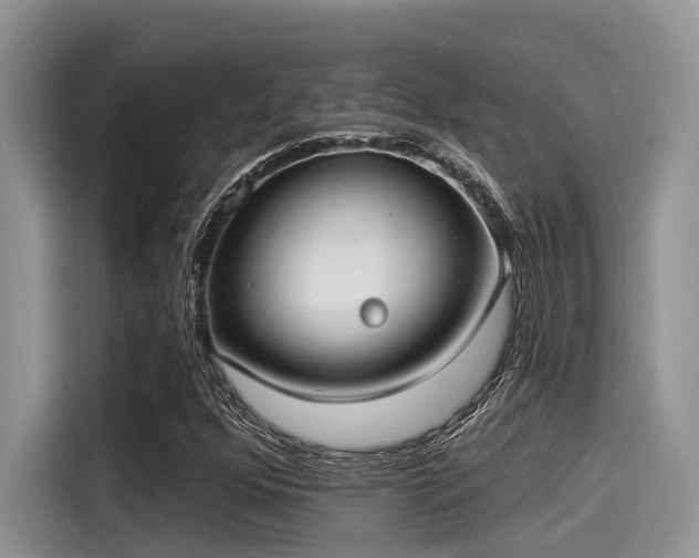 X0000115431352200911121055