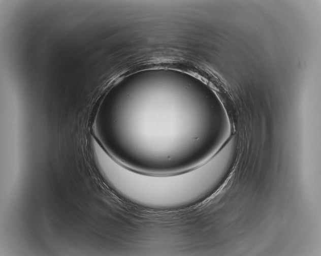 X0000115431353200911121055
