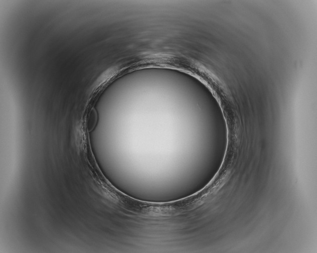 X0000115431354200911121055