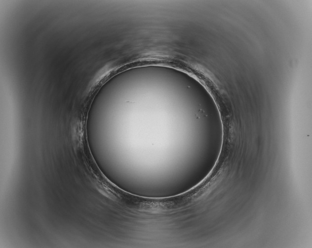 X0000115431355200911121055