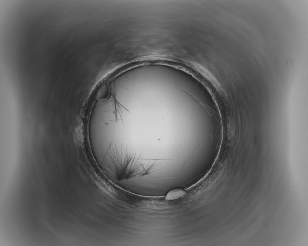 X0000115431356200911121055