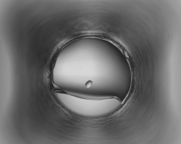 X0000115431357200911121055