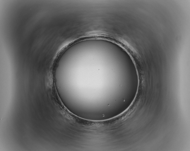 X0000115431358200911121055